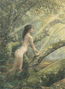 Wildwood<br>
355mm x 260mm